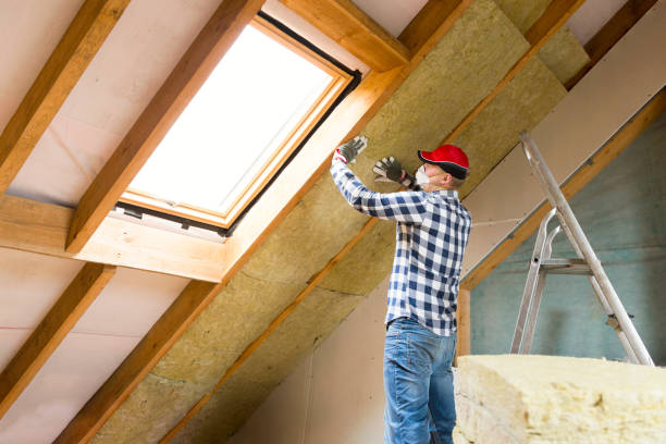 Eco-Friendly Insulation Solutions in River Hills, WI